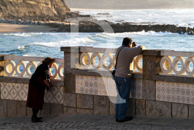 Aonde  que pra a baleia?