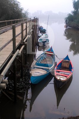 Cartaxo - Aldeia Avieira de Palhota