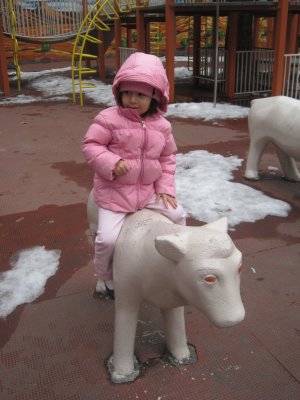 Picture 006.jpg