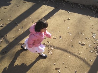 Picture 016.jpg