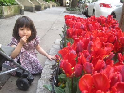 Picture 030.jpg