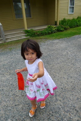 P1010438.jpg