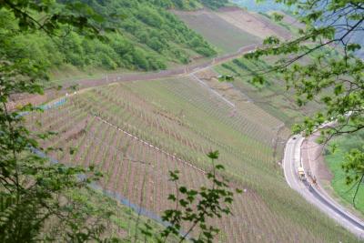 Steep vineyards to the south of Ernst.jpg