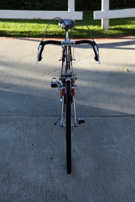 IMG_8238s.jpg