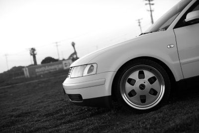 IMG_2412esbw.jpg