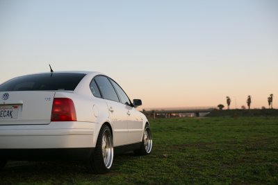 IMG_2405es.jpg