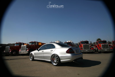 IMG_2658e copy.jpg
