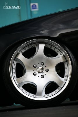 IMG_3377 copy.jpg