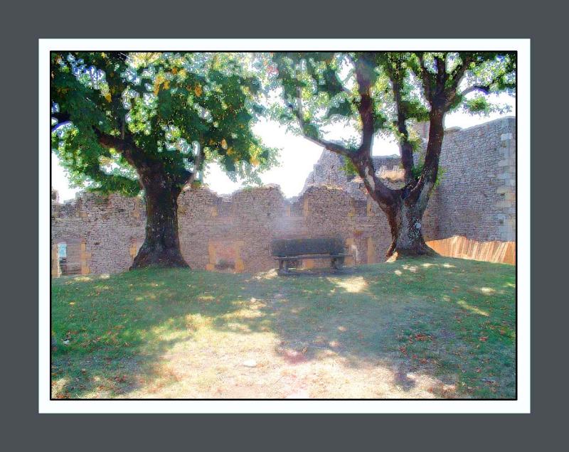 Two Trees
