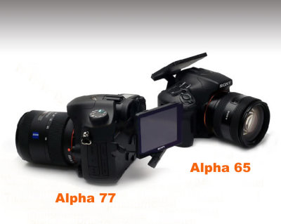 Sony Alpha 77  &  Alpha 65