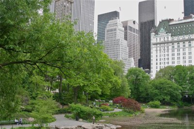 Urban Oasis--Central Park NYC