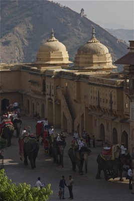Amber Fort-- Jaipur, India