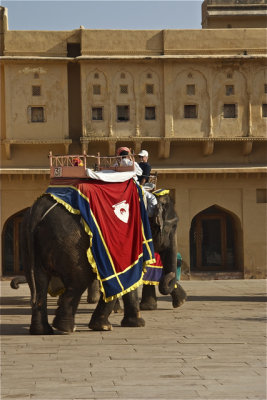 Amber Fort - 11.jpg