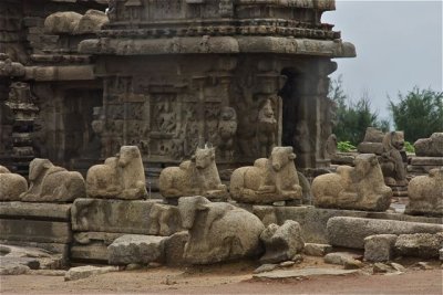 Mahabalipuram--Shore Temple - 2.jpg