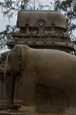 Mahabalipuram Rathas - 07.jpg