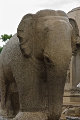 Mahabalipuram Rathas - 12.jpg