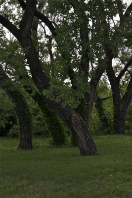 Chisholm Trail - 04.jpg