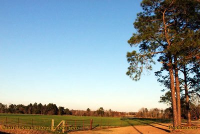 2011 - view of the pasture on the left at the Griner family home