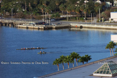 2011 - rowers on the Hillsborough River in downtown Tampa in the early morning (5571)