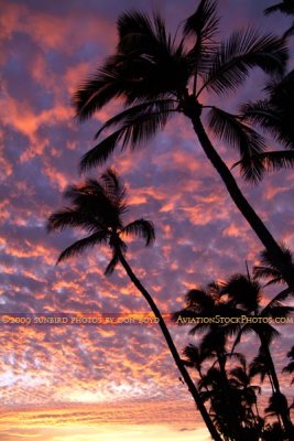 2009 - a magnificent sunset at the Hyatt Regency beachfront on Kaanapali Beach, Maui