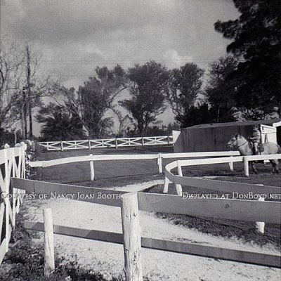 1964 - David Booth riding a pony at Dressel's Dairy on Milam Dairy Road west of the airport