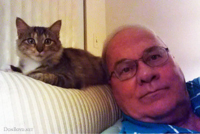 January 2012 - our Maine Coon kitten Cocoa and Don