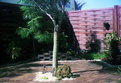 1974 - backyard of our townhouse at 7184 W. 2nd Court, Hialeah