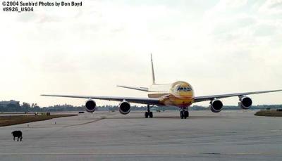 2004 - Stray dog on taxiway