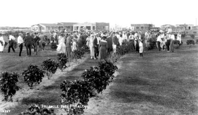 1921 - a large group of visitors at Hialeah's Triangle Park on Palm Avenue and County Road (later Okeechobee Road)