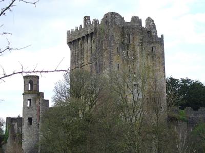 DSC00202-1.JPG
