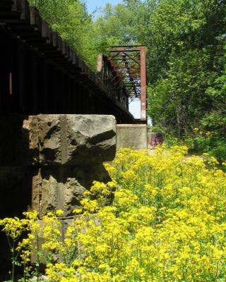 MAY 26 2006