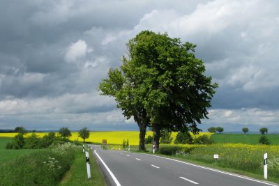 Near Gotha, 2010