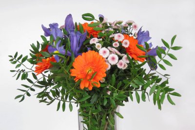 Flowers, 2011