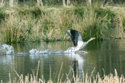All clear for takeoff, 2011