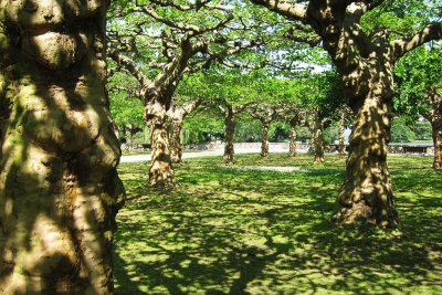 Shady park in Krefeld, 2011