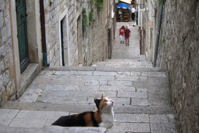 Dubrovnik, 2011