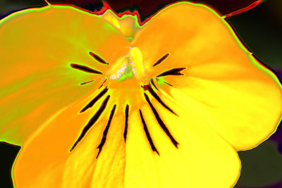 Macro 3, 2012