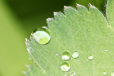 Macro 4, 2012