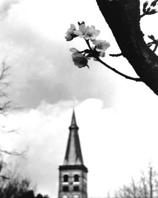 St. Tonis church in Spring