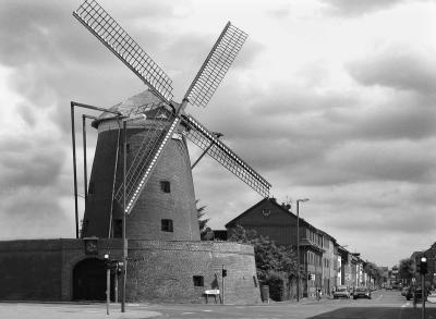 The windmill (our main attraction but quite common in this area)