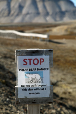 Polar Bear Warning - Ny Alesund, Spitsbergen, Norway