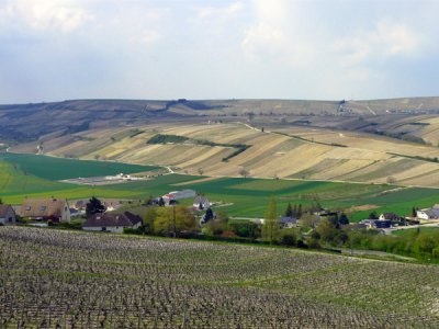 Vineyard Panorama, Sancerre.