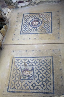 Floor Mosaics, Terrace House, Ephesus, Turkey.
