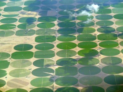 Interesting crops as seen from above