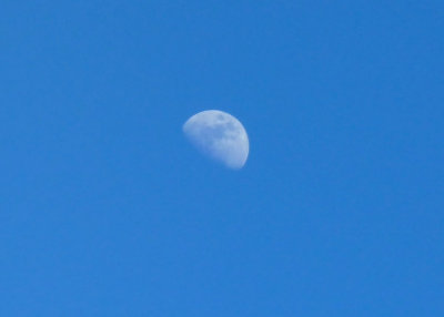 The moon in the afternoon