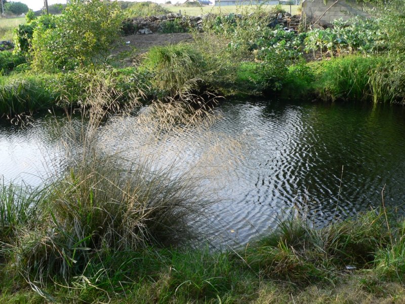 Rio Ulla