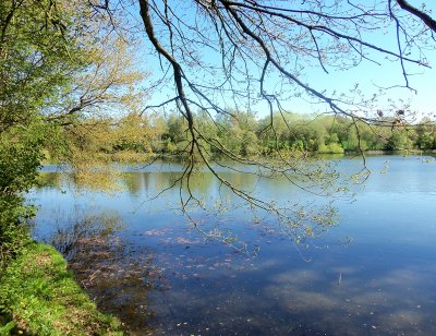 NEWELLS LAKE . 2