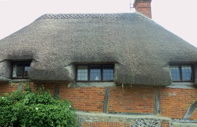TIMBER FRAMING & THATCH ROOF