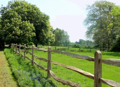 PASTORAL SCENE