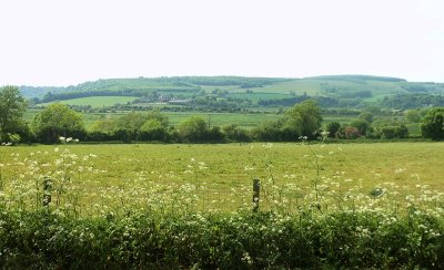 VIEW ACROSS ARUN VALLEY